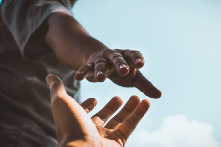 Agricultural Processing